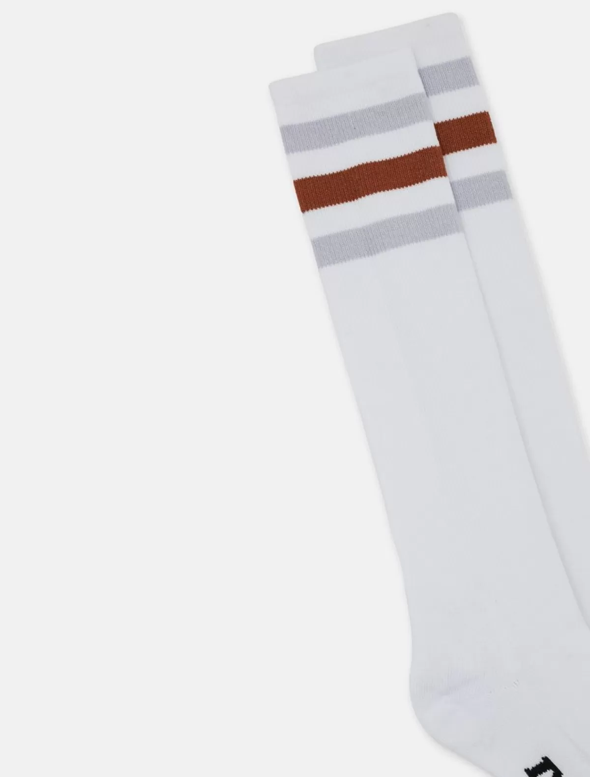 Hot Lutak Socks Women Socks | Socks