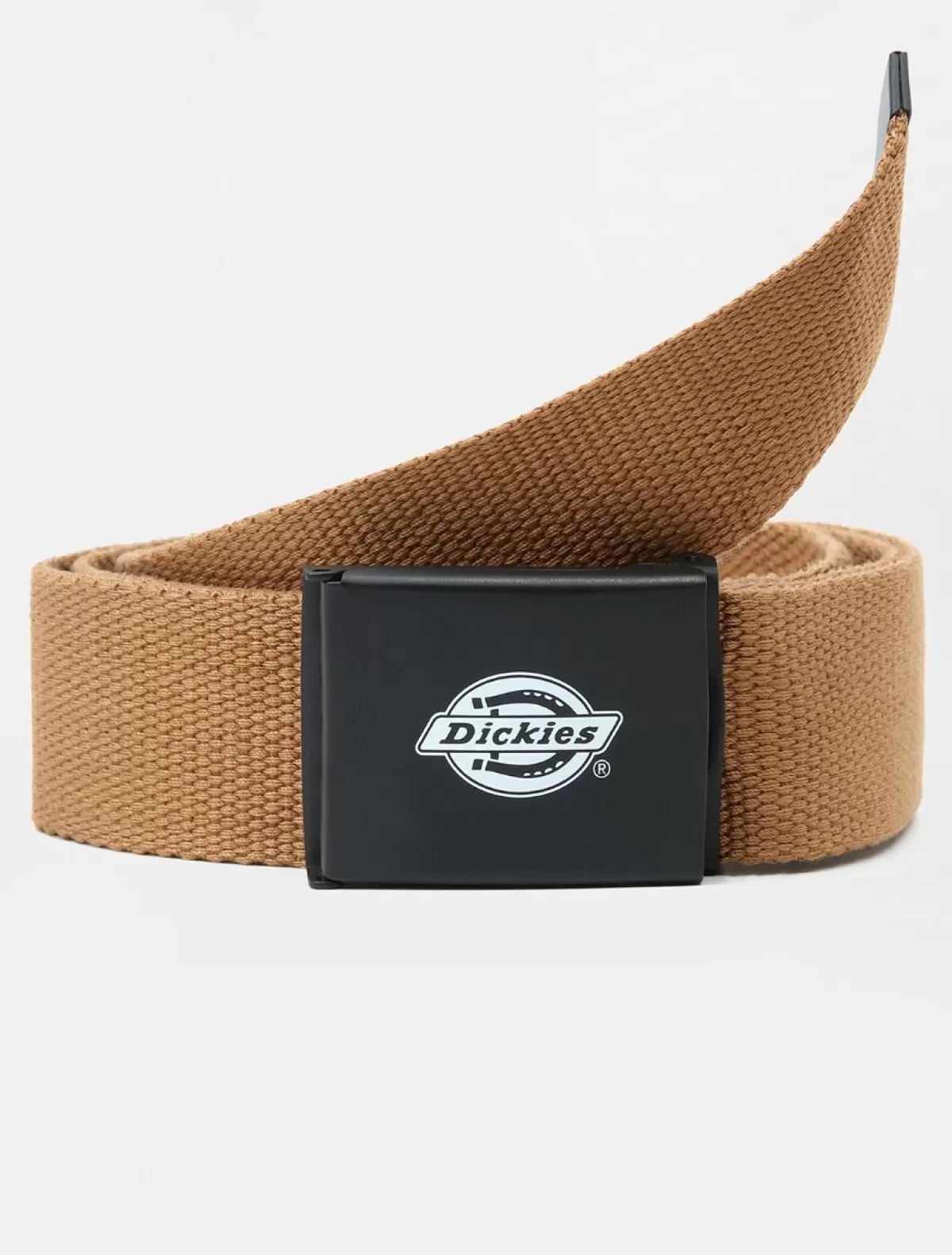 Shop Orcutt Belt Women Belts | Belts