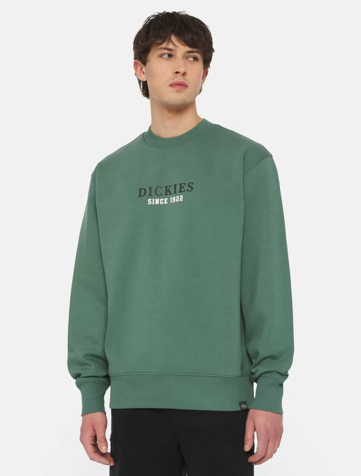 Fashion Park Sweatshirt Sweatshirts & Hoodies